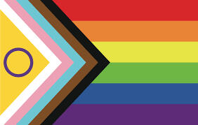 A flag with the red, orange, yellow, green, blue, and purple stripes to the right, and a triangle that contains a black, brown, trans, and intersex stripes.